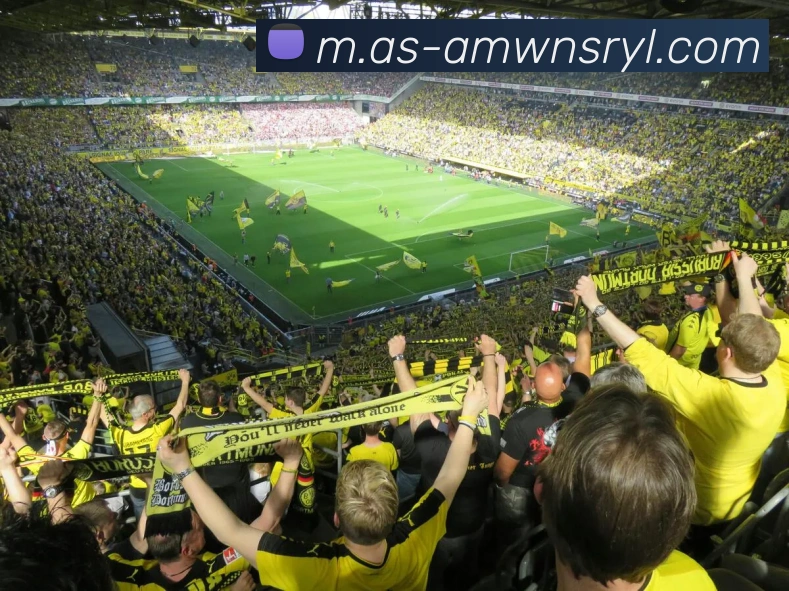 威尼斯人娱乐网站平台生态图